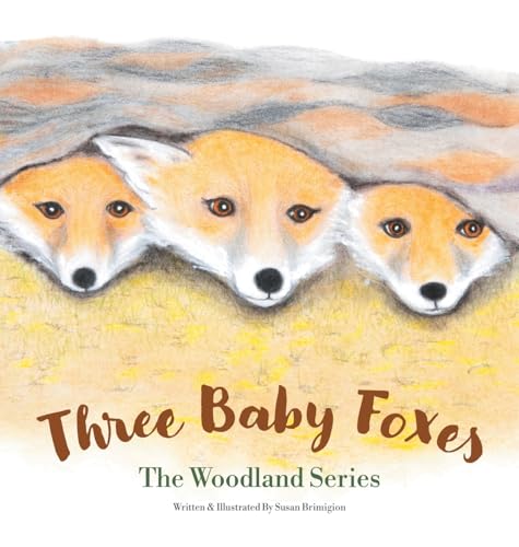 Three Baby Foxes: The Woodland Series von Archway Publishing