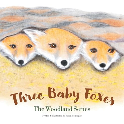 Three Baby Foxes: The Woodland Series von Archway Publishing