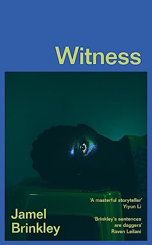Witness: the stunning new short story collection of families and relationships – ‘Brinkley’s sentences are daggers’ Raven Leilani