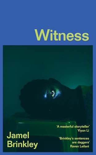 Witness: the stunning new short story collection of families and relationships – ‘Brinkley’s sentences are daggers’ Raven Leilani von Fourth Estate