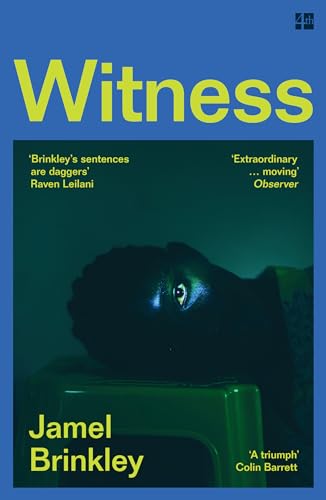Witness: the stunning new short story collection of families and relationships – ‘Brinkley’s sentences are daggers’ Raven Leilani von Fourth Estate
