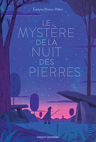 Le mystère de la nuit des pierres von BAYARD JEUNESSE