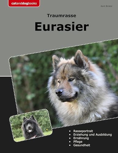 Traumrasse Eurasier