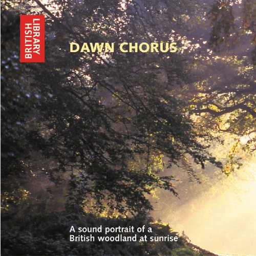 Dawn Chorus: A Sound Portrait of a British Woodland at Sunrise