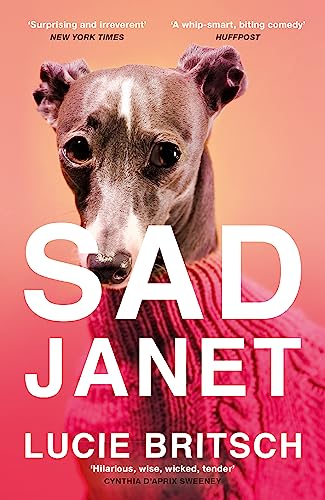 Sad Janet: ‘A whip-smart, biting tragicomedy’ HuffPost von Weidenfeld & Nicolson