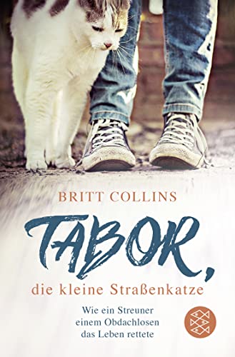 Tabor, die kleine Straßenkatze Tabor, die kleine Straßenkatze