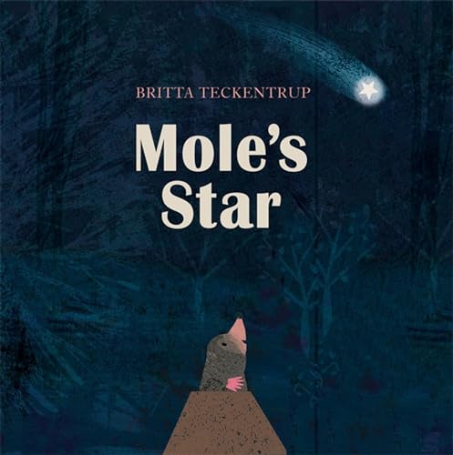 Mole's Star von Hachette Children's Book