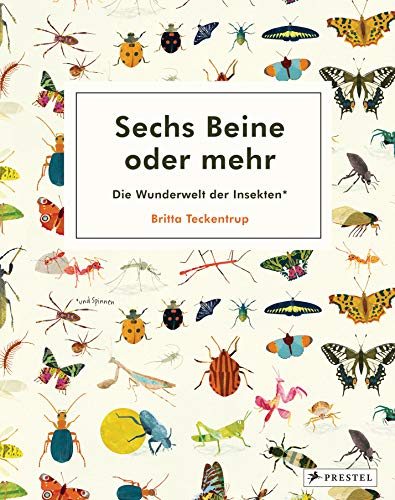 Sechs Beine oder mehr – Die Wunderwelt der Insekten und Spinnen