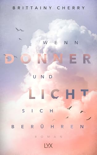 Wenn Donner und Licht sich berühren: Roman