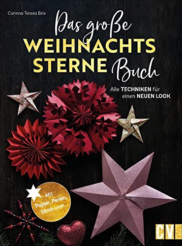 Sterne basteln: Das große Weihnachtssterne-Buch: Alle Techniken für einen neuen Look. Vom klassischen Fröbelstern über filigrane Stroh- und Foliensterne bis hin zu 3D- und Holzsternen.