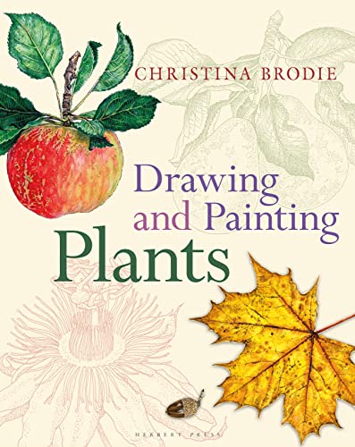 Drawing and Painting Plants von Bloomsbury Publishing Plc