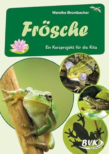 Frösche: Ein Kurzprojekt für die Kita (Kita-Kurzprojekte) (BVK-Kurzprojekte) von Buch Verlag Kempen