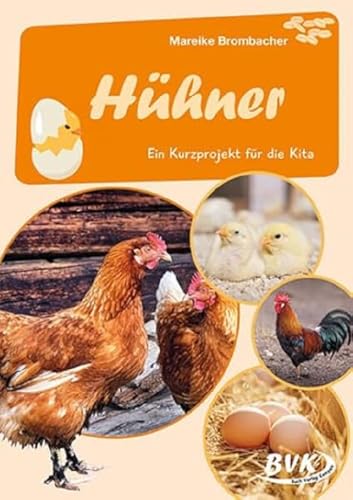 Hühner: Ein Kurzprojekt für die Kita | Natur & Tiere im Kindergarten - kreative Lernangebote, Bildkarten und mehr (BVK-Kurzprojekte) von Buch Verlag Kempen