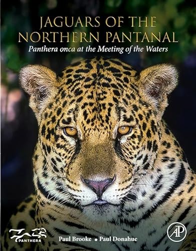 Jaguars of the Northern Pantanal: Panthera Onca at the Meeting of the Waters von Academic Press