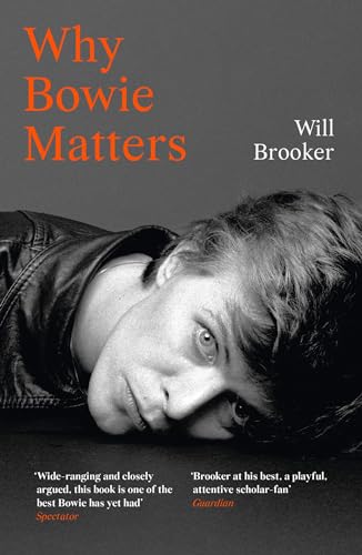 Why Bowie Matters von William Collins