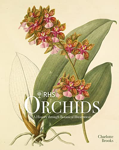 RHS Orchids: A History Through Botanical Illustration von Acc Art Books