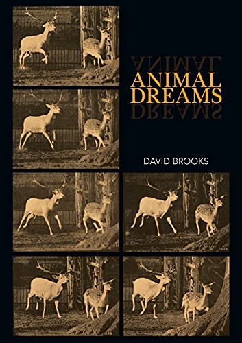 Animal Dreams (Animal Politics, Band 4)
