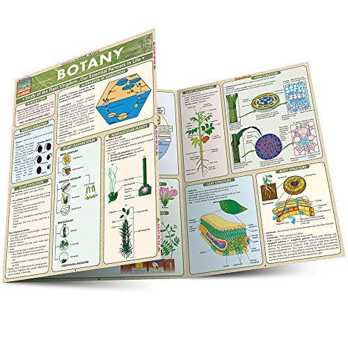 Botany: Study of the Plant Lkingdom...our Essential Partners in Life (QuickStudy Academic)