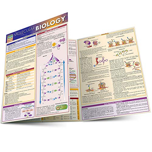 Molecular Biology: The Relationships of Molecules to Biological Processes (Quick Study)