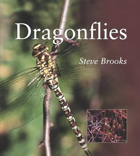 Dragonflies (Smithsonian's Natural World Series)