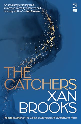 The Catchers (Salt Modern Fiction)