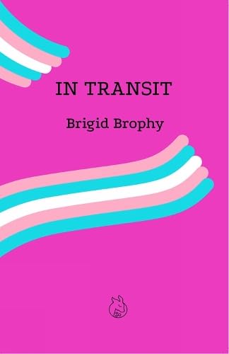 In Transit von Lurid Editions
