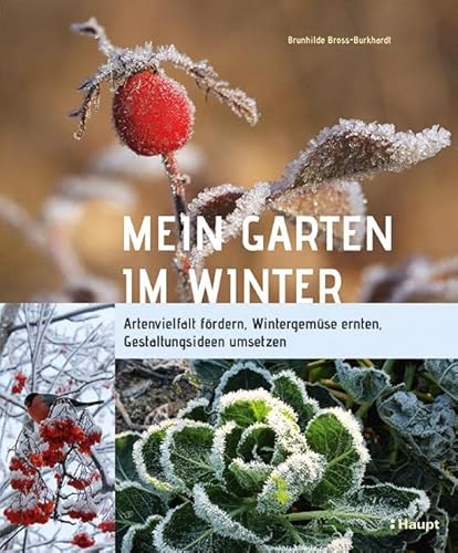 Mein Garten im Winter: Artenvielfalt fördern, Wintergemüse ernten, Gestaltungsideen umsetzen von Haupt Verlag AG
