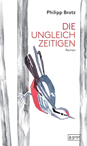 Die Ungleichzeitigen: Zwei, die den Boden unter den Füßen verloren haben – verbunden über Welten hinweg. Ein Entwicklungsroman über Heimatverlust, Selbstfindung und Toleranz. von 8 grad verlag GmbH & Co. KG