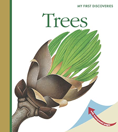 Trees: Volume 19 (My First Discoveries) von Moonlight Publishing