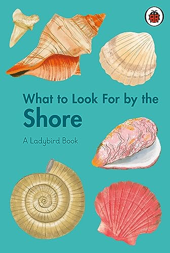 What to Look For by the Shore (A Ladybird Book) von Ladybird