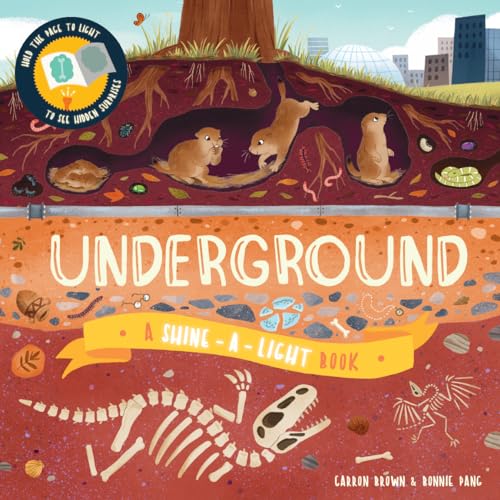 Underground (Shine-a-light) von Kane/Miller Book Publishers