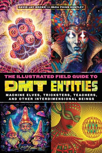 The Illustrated Field Guide to DMT Entities: Machine Elves, Tricksters, Teachers, and Other Interdimensional Beings von Park Street Press