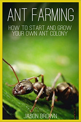 Ant Farming: How to Start and Grow Your Own Ant Colony von Createspace Independent Publishing Platform