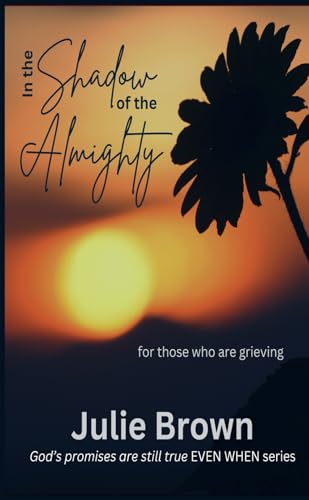 In the Shadow of the Almighty (Even When, Band 3) von Independently published