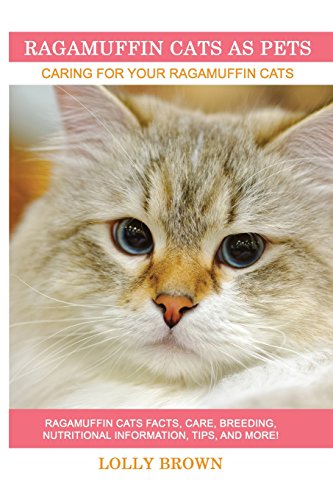 Ragamuffin Cats As Pets: Ragamuffin Cats facts, care, breeding, nutritional information, tips, and more! Caring For Your Ragamuffin Cats von Pack & Post Plus, LLC