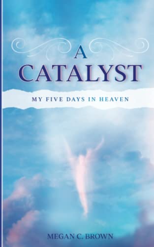 A Catalyst: My Five Days in Heaven von Southern Willow Publishing, LLC