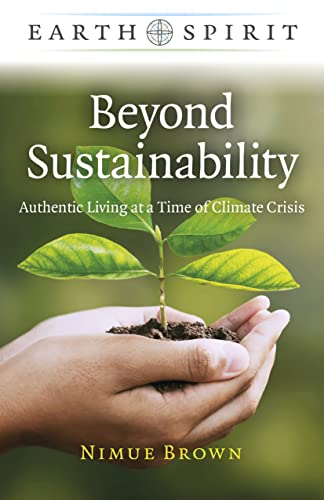 Beyond Sustainability: Authentic Living at a Time of Climate Crisis (Earth Spirit) von John Hunt Publishing