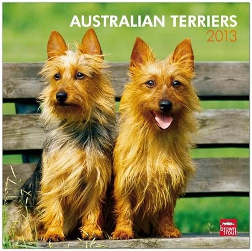Australian Terriers 2013 - Australische Terrier - Original BrownTrout-Kalender (Wall-Kalender)