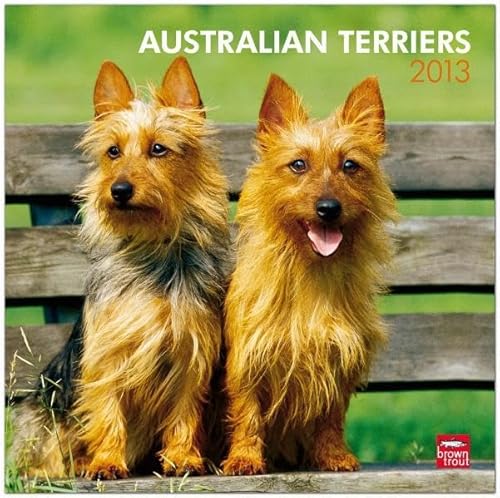 Australian Terriers 2013 Calendar von Browntrout Pub