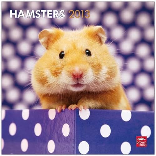 Hamsters 2013 Calendar von Browntrout Pub