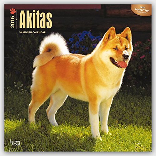 Akitas 2016 - 18-Monatskalender mit freier DogDays-App: Original BrownTrout-Kalender [Mehrsprachig] [Kalender] (Wall-Kalender) von Brown Trout