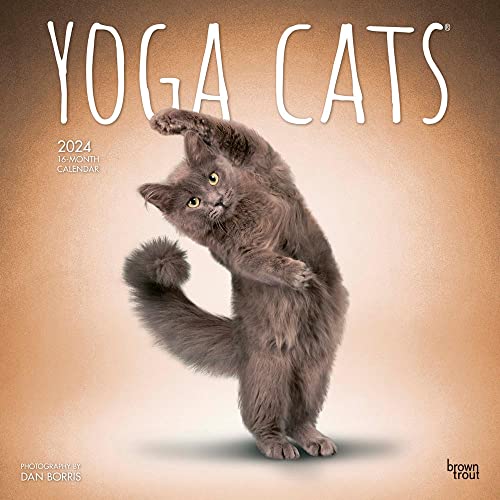 Yoga Cats – Yoga-Katzen 2024 – 16-Monatskalender: Original BrownTrout-Kalender [Mehrsprachig] [Kalender] (Wall-Kalender)