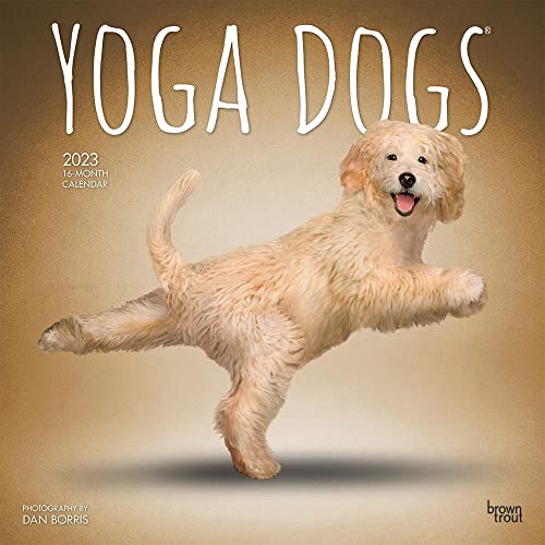 Yoga Dogs – Yoga-Hunde 2023 – 16-Monatskalender: Original BrownTrout-Kalender [Mehrsprachig] [Kalender] (Wall-Kalender) von BrownTrout
