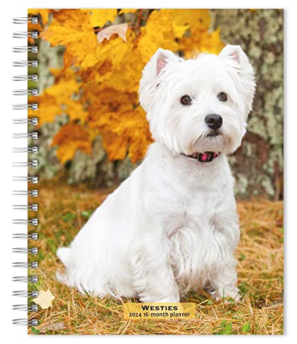 West Highland White Terriers | 2024 6 x 7.75 Inch Spiral-Bound Wire-O Weekly Engagement Planner Calendar | New Full-Color Image Every Week | BrownTrout | Animals Dog Breeds West Highland White Terriers | 2024 6 x 7.75 Inch Spiral-Bound Wire-O Weekly Engagement Planner Calendar | New Full-Color Image Every Week | BrownTrout | Animals Dog Breeds