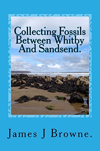 Collecting Fossils Between Whitby And Sandsend.: A Beginner's Guide. von CREATESPACE