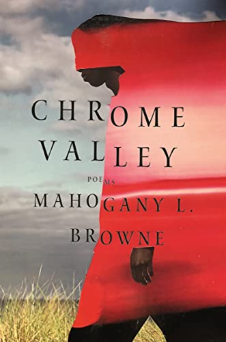 Chrome Valley: Poems von WW Norton & Co