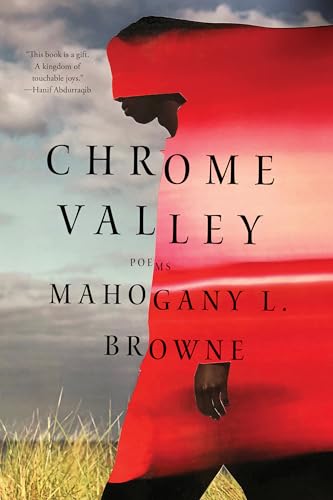 Chrome Valley: Poems von WW Norton & Co