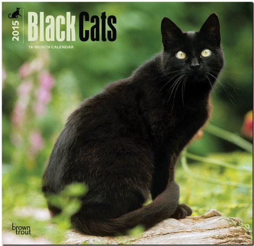 Black Cats 18-Month 2015 Calendar von BrownTrout