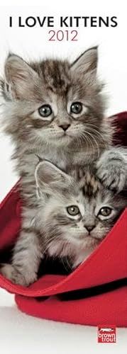 Kittens 2012 (Slimline-Kalender) von Brown Trout-Auslieferer Flechsig