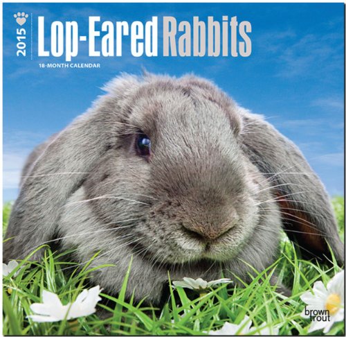 Lop-Eared Rabbits 18-Month 2015 Calendar von Browntrout Pub